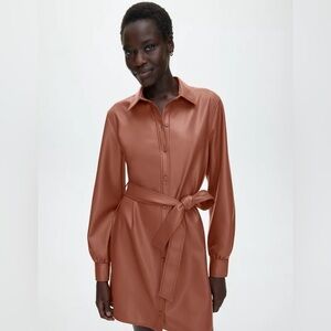 Aritzia Wilfred Caroline Dress